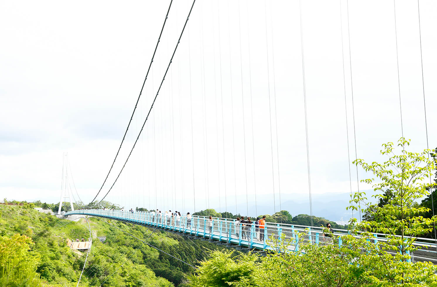 三島スカイウォーク