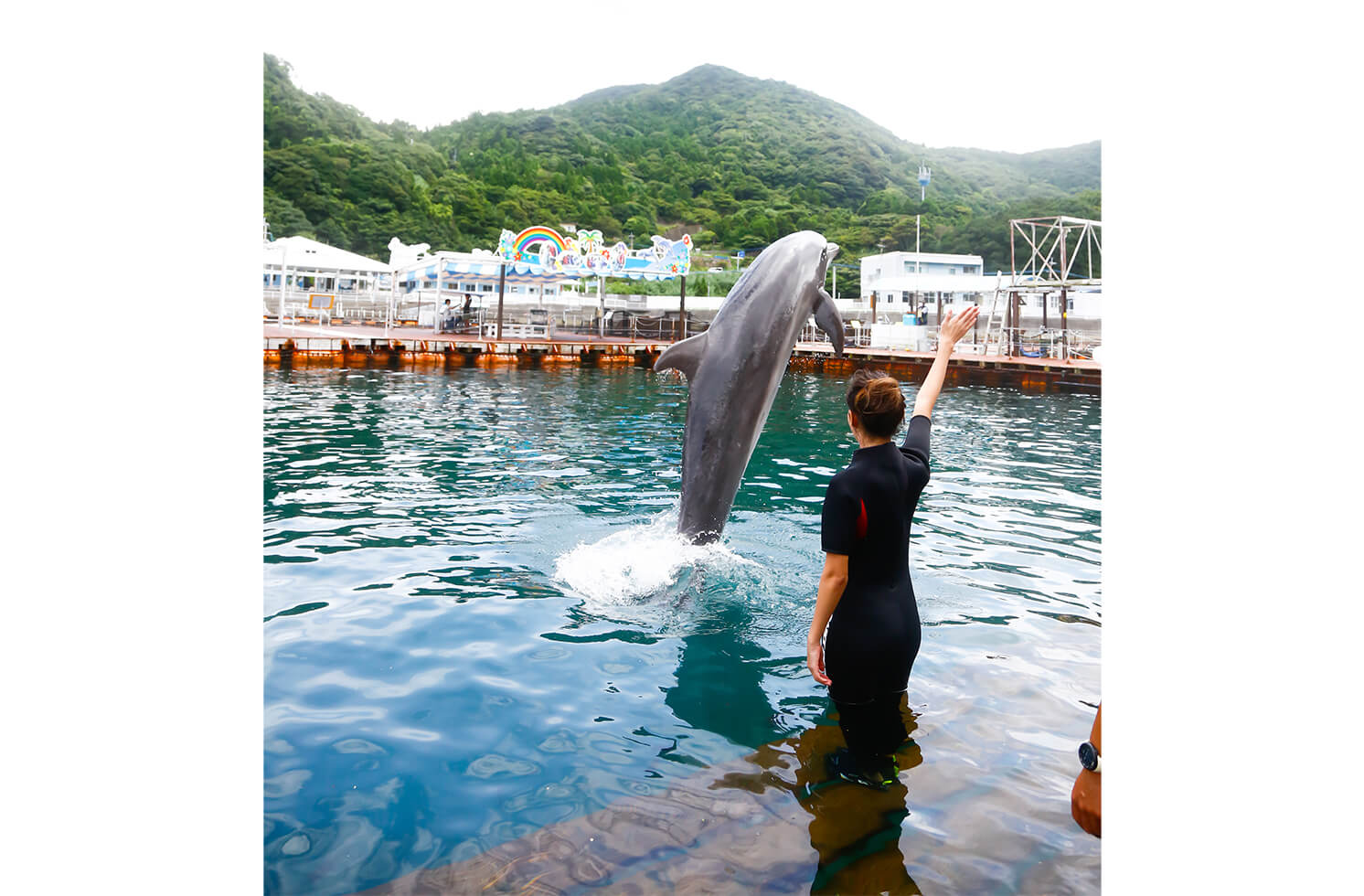 うみたま体験パーク「つくみイルカ島」